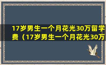 17岁男生一个月花光30万留学费（17岁男生一个月花光30万留学费!看到消费明细家长崩溃）