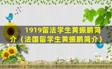 1919留法学生黄振鹏简介（法国留学生黄振鹏简介）