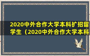 2020中外合作大学本科扩招留学生（2020中外合作大学本科扩招留学生多少人）