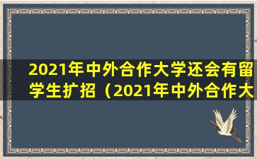 2021年中外合作大学还会有留学生扩招（2021年中外合作大学还会有留学生扩招考试吗）