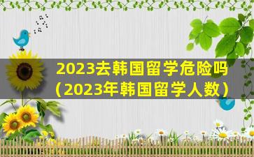 2023去韩国留学危险吗（2023年韩国留学人数）