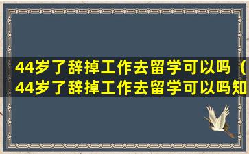 44岁了辞掉工作去留学可以吗（44岁了辞掉工作去留学可以吗知乎）