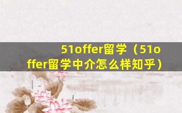 51offer留学（51offer留学中介怎么样知乎）