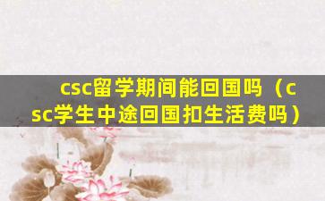 csc留学期间能回国吗（csc学生中途回国扣生活费吗）