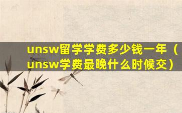 unsw留学学费多少钱一年（unsw学费最晚什么时候交）