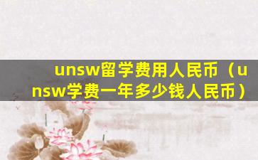 unsw留学费用人民币（unsw学费一年多少钱人民币）