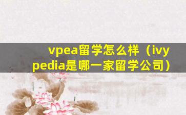 vpea留学怎么样（ivypedia是哪一家留学公司）