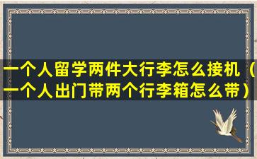 一个人留学两件大行李怎么接机（一个人出门带两个行李箱怎么带）