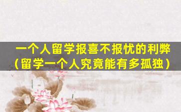 一个人留学报喜不报忧的利弊（留学一个人究竟能有多孤独）