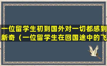 一位留学生初到国外对一切都感到新奇（一位留学生在回国途中的飞机上,看到祖国）