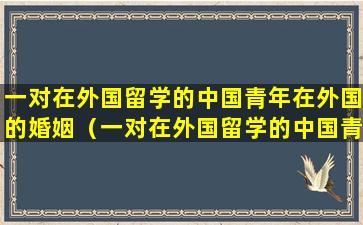 一对在外国留学的中国青年在外国的婚姻（一对在外国留学的中国青年在外国的婚姻登记机关）