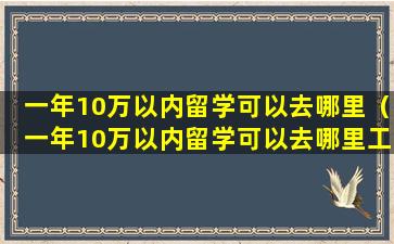 一年10万以内留学可以去哪里（一年10万以内留学可以去哪里工作）