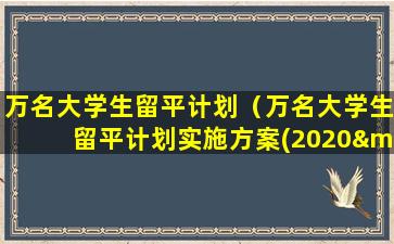 万名大学生留平计划（万名大学生留平计划实施方案(2020—2022年)）