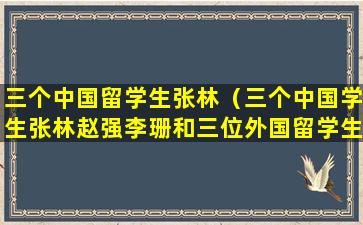 三个中国留学生张林（三个中国学生张林赵强李珊和三位外国留学生）