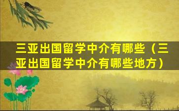 三亚出国留学中介有哪些（三亚出国留学中介有哪些地方）