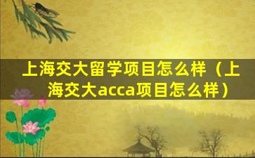 上海交大留学项目怎么样（上海交大acca项目怎么样）