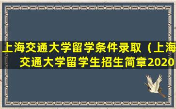 上海交通大学留学条件录取（上海交通大学留学生招生简章2020本科）