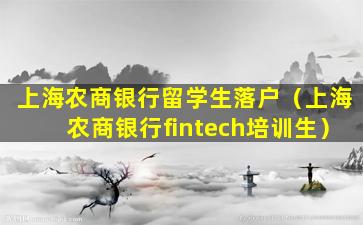 上海农商银行留学生落户（上海农商银行fintech培训生）