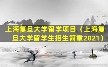 上海复旦大学留学项目（上海复旦大学留学生招生简章2021）