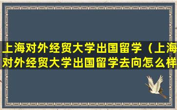 上海对外经贸大学出国留学（上海对外经贸大学出国留学去向怎么样）