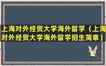 上海对外经贸大学海外留学（上海对外经贸大学海外留学招生简章）