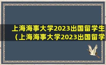 上海海事大学2023出国留学生（上海海事大学2023出国留学生有多少）