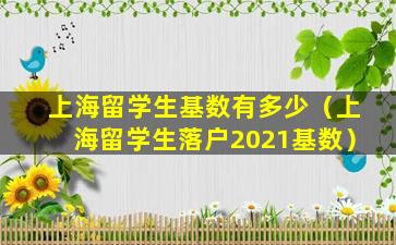 上海留学生基数有多少（上海留学生落户2021基数）