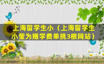 上海留学生小（上海留学生小莹为赚学费单挑3根网站）