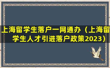 上海留学生落户一网通办（上海留学生人才引进落户政策2023）