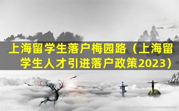 上海留学生落户梅园路（上海留学生人才引进落户政策2023）