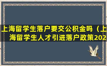 上海留学生落户要交公积金吗（上海留学生人才引进落户政策2023）