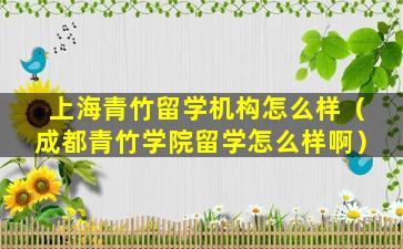 上海青竹留学机构怎么样（成都青竹学院留学怎么样啊）