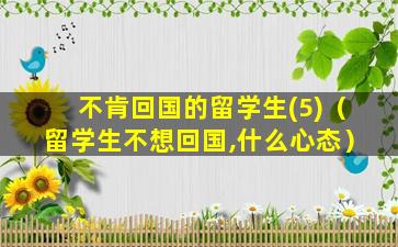 不肯回国的留学生(5)（留学生不想回国,什么心态）