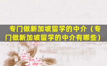 专门做新加坡留学的中介（专门做新加坡留学的中介有哪些）