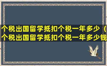 个税出国留学抵扣个税一年多少（个税出国留学抵扣个税一年多少钱）