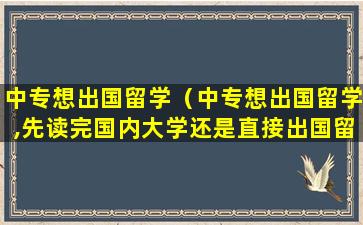 中专想出国留学（中专想出国留学,先读完国内大学还是直接出国留学）