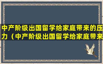 中产阶级出国留学给家庭带来的压力（中产阶级出国留学给家庭带来的压力有哪些）