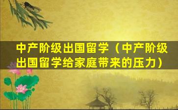 中产阶级出国留学（中产阶级出国留学给家庭带来的压力）