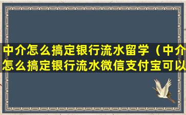 中介怎么搞定银行流水留学（中介怎么搞定银行流水微信支付宝可以用吗）