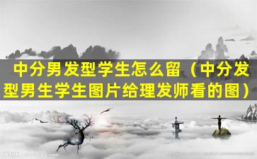 中分男发型学生怎么留（中分发型男生学生图片给理发师看的图）