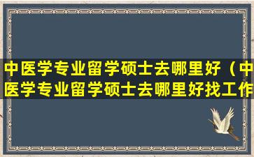 中医学专业留学硕士去哪里好（中医学专业留学硕士去哪里好找工作）