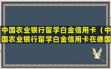 中国农业银行留学白金信用卡（中国农业银行留学白金信用卡在德国能用吗）