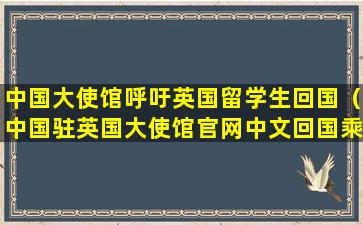 中国大使馆呼吁英国留学生回国（中国驻英国大使馆官网中文回国乘机报名平台）