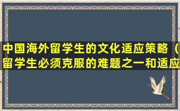 中国海外留学生的文化适应策略（留学生必须克服的难题之一和适应国外文化有关）