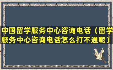 中国留学服务中心咨询电话（留学服务中心咨询电话怎么打不通呢）