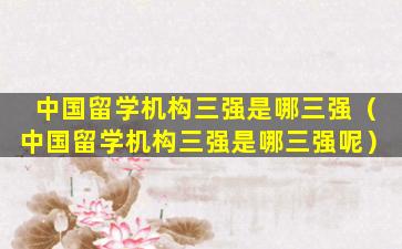 中国留学机构三强是哪三强（中国留学机构三强是哪三强呢）