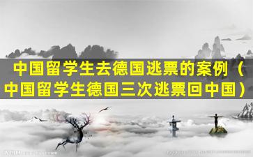 中国留学生去德国逃票的案例（中国留学生德国三次逃票回中国）