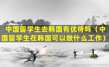 中国留学生去韩国有优待吗（中国留学生在韩国可以做什么工作）