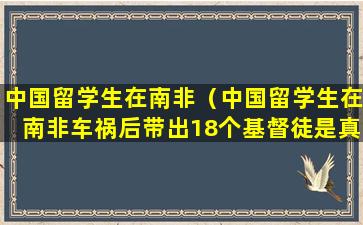 中国留学生在南非（中国留学生在南非车祸后带出18个基督徒是真的吗）