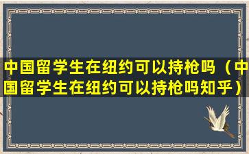 中国留学生在纽约可以持枪吗（中国留学生在纽约可以持枪吗知乎）